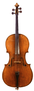 Violoncello Violoncello